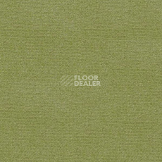 Ковролин Radici Abetone Verde 3138 фото 1 | FLOORDEALER
